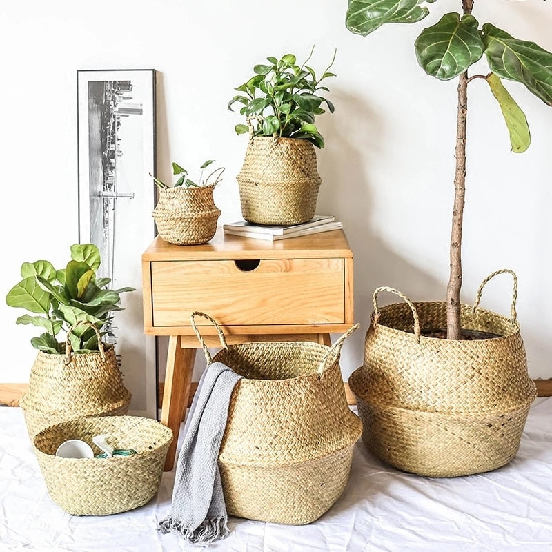 Basket Storage